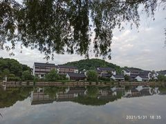 -鲁镇