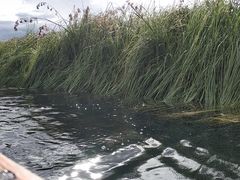 -泸沽湖里格半岛