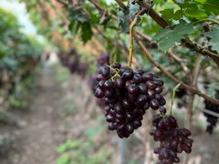 -兴芮温泉度假区