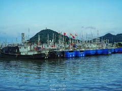 -沈家门渔港