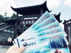 -武隆天坑寨子景区