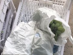 -马陆小张葡萄园农家乐