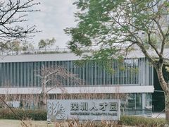 -深圳市人才园(深南大道店)