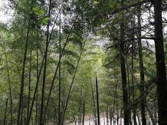 -楠溪江石桅岩