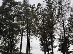 -江苏三台山国家森林公园