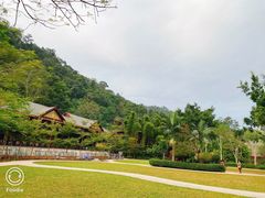 -野象谷景区