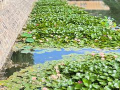 -疯克大象美式烤肉餐厅