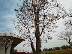 -白塘生态植物园