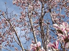 -南通博物苑-崇川人民公园