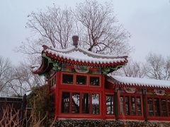 -护国寺小吃(地安门店)
