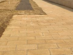 -盘龙城国家考古遗址公园