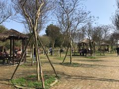 -武汉紫薇都市田园