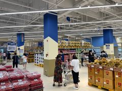 -盒马X会员店(王府井奥莱UP TOWN店)