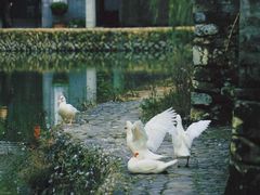 -楠溪江风景名胜区