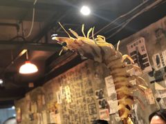 -鲜入围煮花胶鸡海鲜火锅