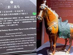 -陕西历史博物馆