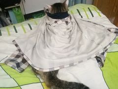 -瑞派福兴宠物医院犬猫全科·骨科·中西医结合(河东店)