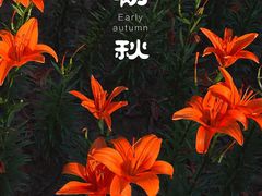 -无锡梅园公园