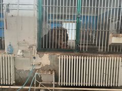 -保定市动物园