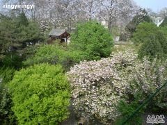 -西安青龙寺遗址景区