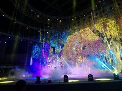android_upload_pic-灵玲国际马戏城