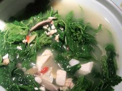 -大榕树下顺德菜(融创茂店)