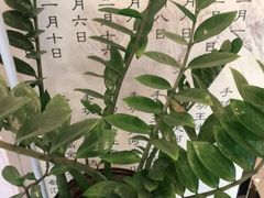 -手功王养生·足疗按摩·SPA·采耳(天府路店)