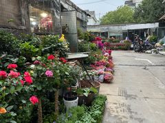 -平吉花卉市场