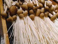 综合养生菌-快乐小羊·内蒙牛羊肉火锅(流花中心店)