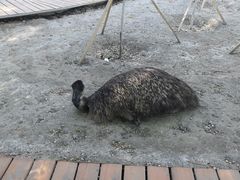 -新疆天山野生动物园