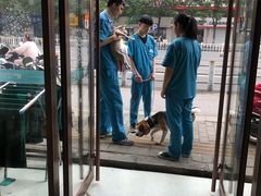 -安安宠医·安宠宠物医院