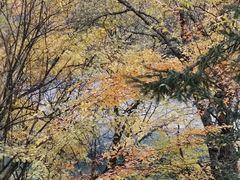 -叠溪松坪沟景区