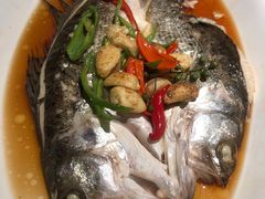 -绿茶餐厅(昆明世纪金源店)