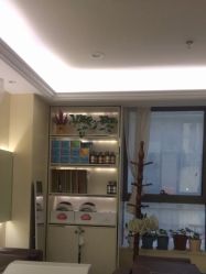 -碧莲盛·不剃发植发