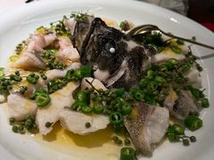-CHIC1699远洋私厨