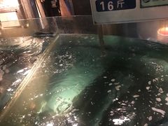 -坛宗剁椒鱼头(河西王府井店)