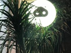 门面-WHEN PIGS FLY当猪飞