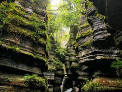 -梭布垭石林景区