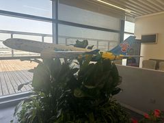 -上海浦东国际机场-T2航站楼