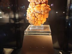 -中国地质大学逸夫博物馆