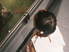 -单家老院·院子里的青岛菜(沙子口店)
