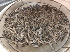 -御唐府海珊瑚主题餐厅