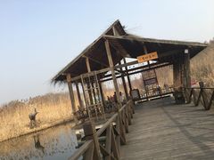 -溱湖国家湿地公园