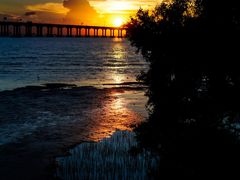 -宝安西湾红树林湿地公园