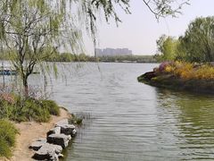 -大兴滨河森林公园