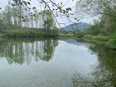 -石塘人家