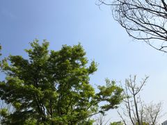 -昆山城市生态森林公园