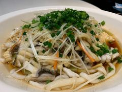 -三猫黑鱼花(南大店)