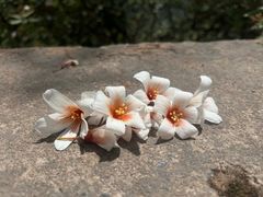 -舒家湾天主教堂