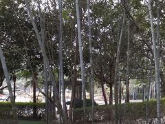 -故乡缘·香格里拉山庄(冷竹路店)